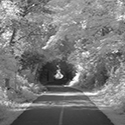 Pittock Lake Trail